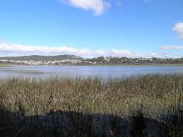 Lake Seppings