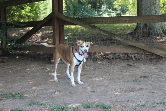 Two Rivers Dog Park