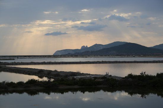 Parque Natural de Ses Salines
