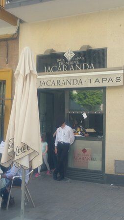 Donaire Jacaranda