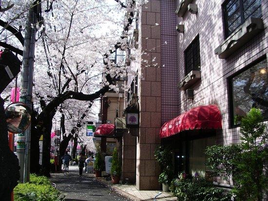 Ruysdael Nakano Restaurant