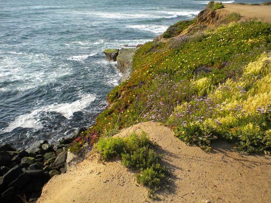 Sunset Cliffs Natural Park