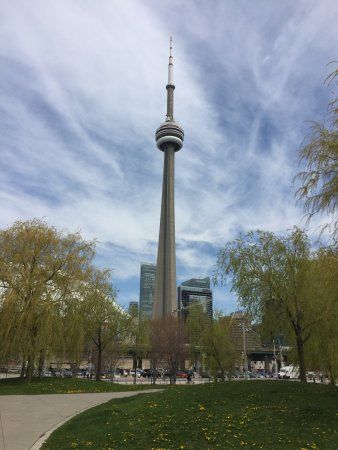 Biking in Trinity Bellwoods Park