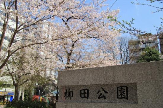 Yanagida Park