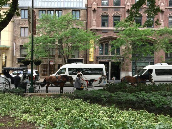 Biking Along the Lakefront Trail