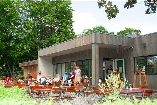 Cafe Chrysander