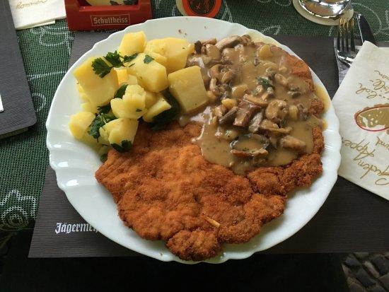 Gasthaus Kater Alex