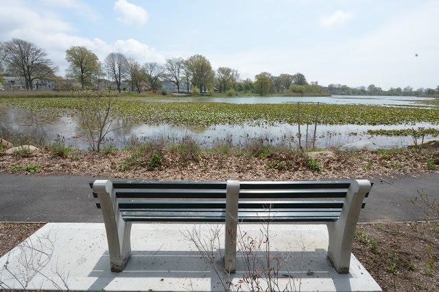 Baisley Pond Park