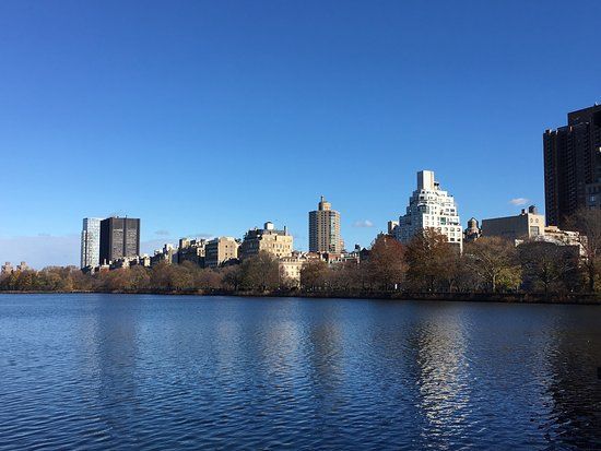Biking in Central Park