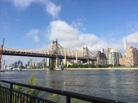 Museum of Modern Art (MoMA)