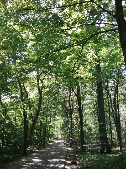 Caldwell Woods