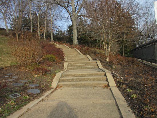 Biking along the Potomac