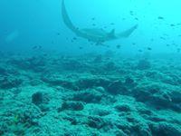 Palais du Sourire