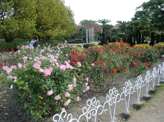 Tsuruma Park
