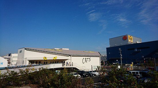 Cats Theater