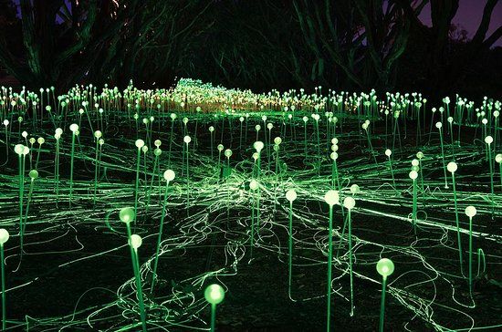 Field of Light