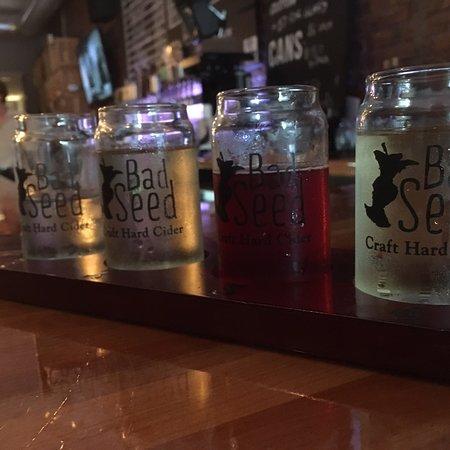 Bad Seed Taproom