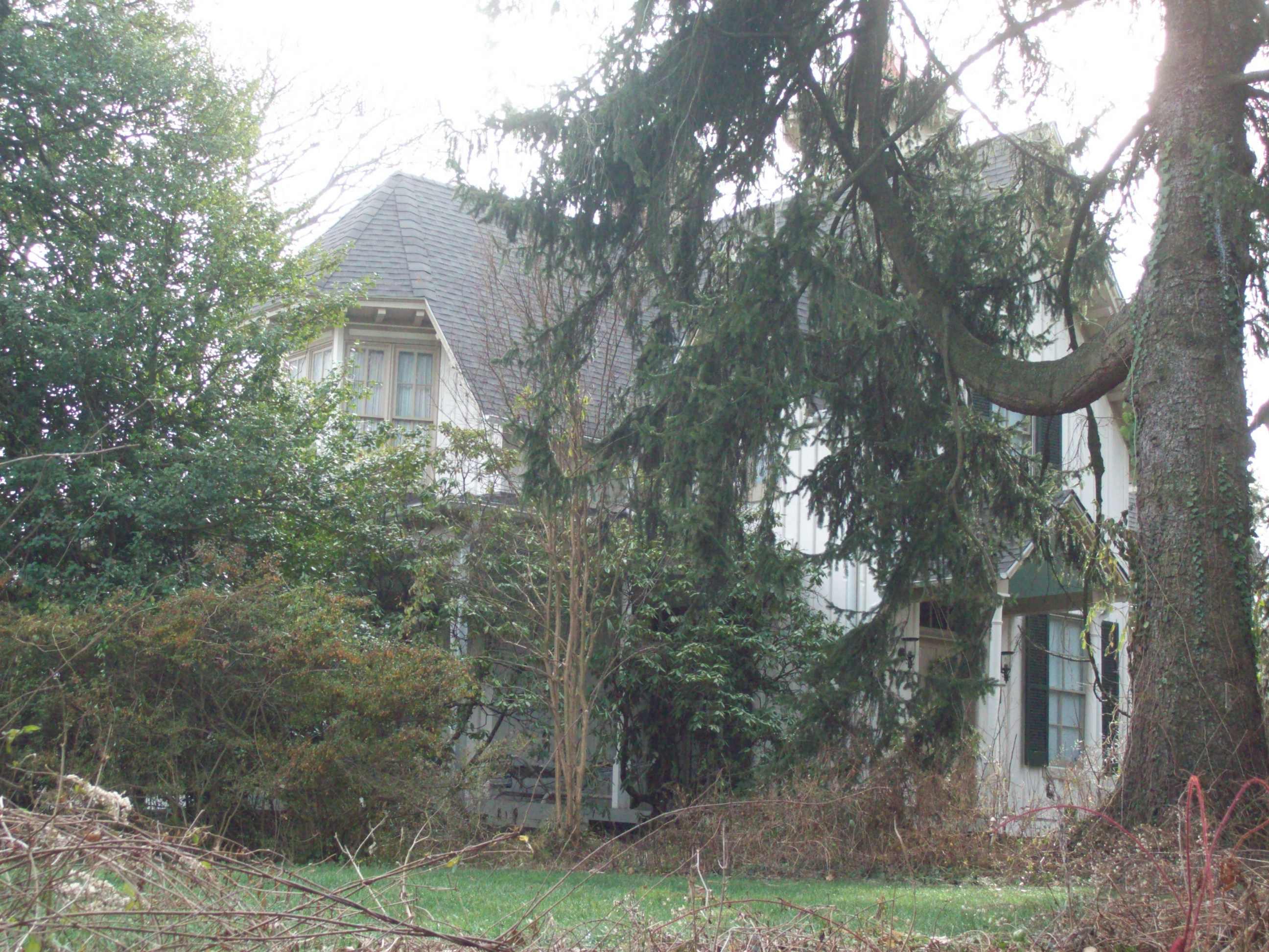 Bare Hills House