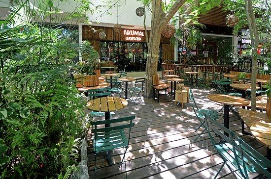 Akumal Cerveceria