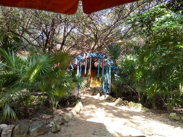 Parque La Ceiba
