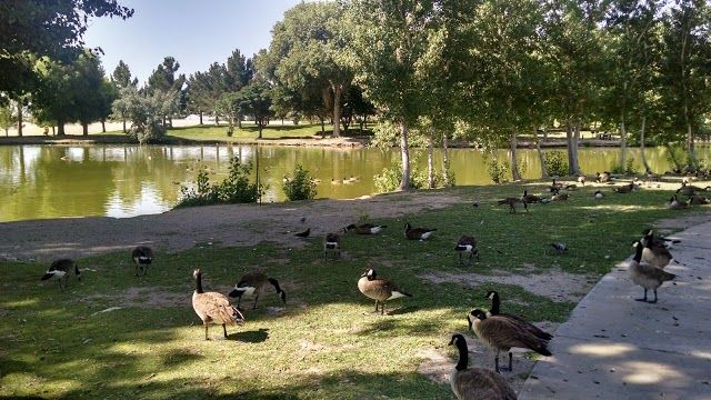 Floyd Lamb Park