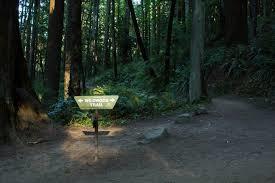 Wildwood Trail