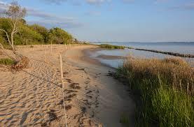 Nags Head Woods