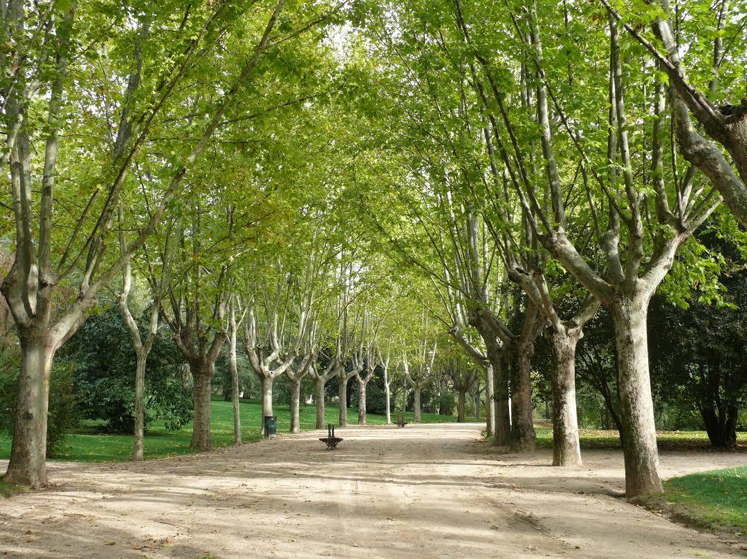 Parque del Oeste