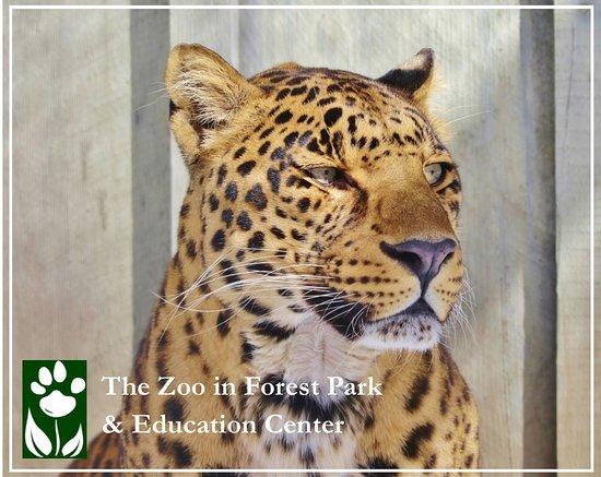 Zoo in Forest Park and Education Center