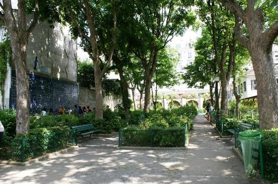 Outdoor Yoga Classes