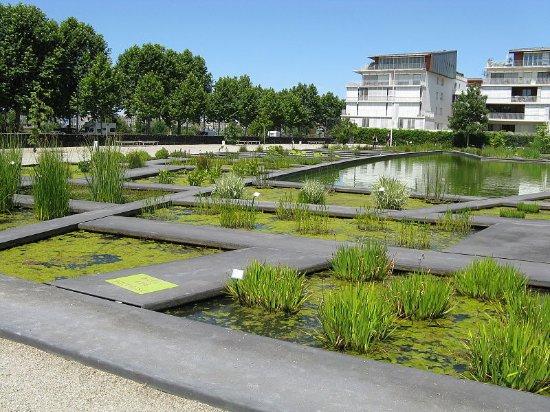 Botanical Garden
