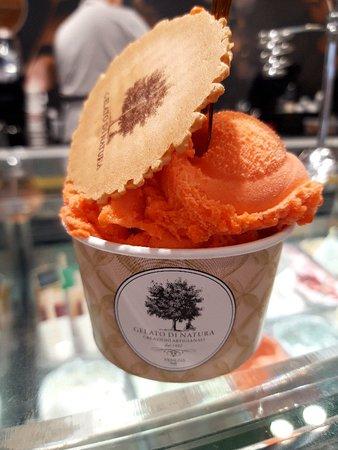 Gelato di Natura