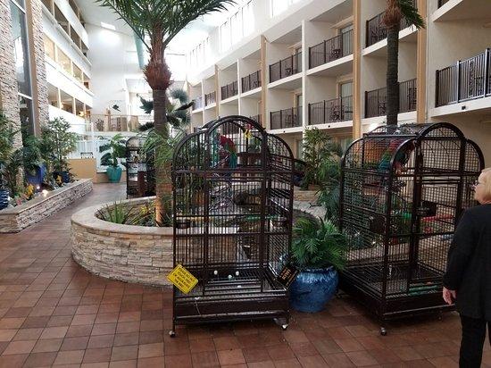 Atrium Cafe & Bar