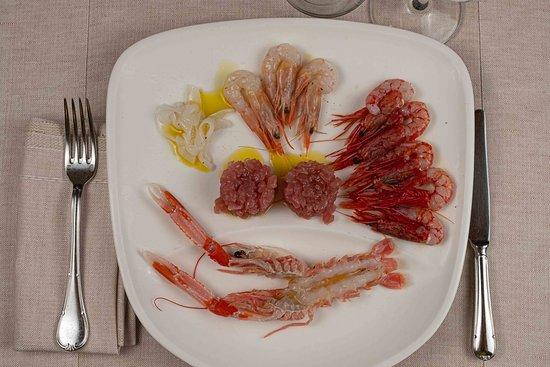 Mare Nostrum