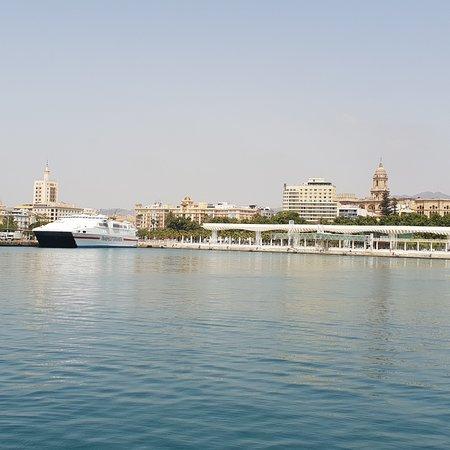 The Harbour