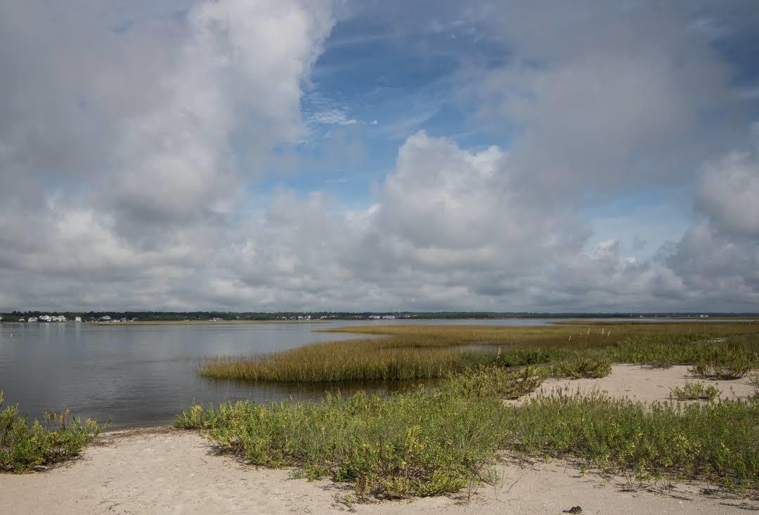 Masonboro Island State Natural Area