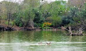 Laguna de Fuente del Rey