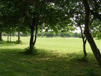 Down Lane Park