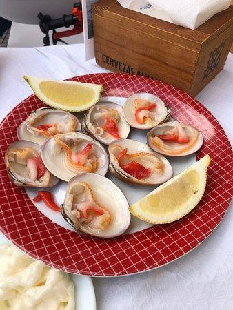 Cerveceria Los Palenos