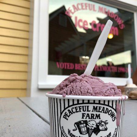 Peaceful Meadows Ice Cream