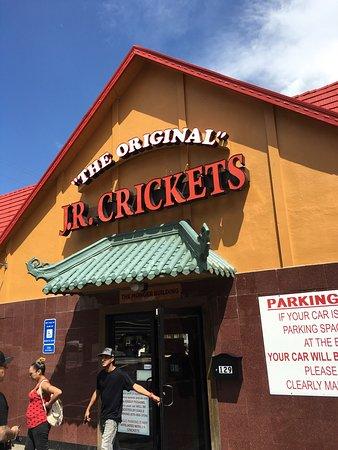 JR Cricket's