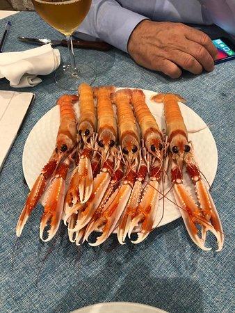 Marisqueria La Mayor