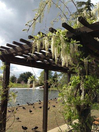 Lake Balboa Park