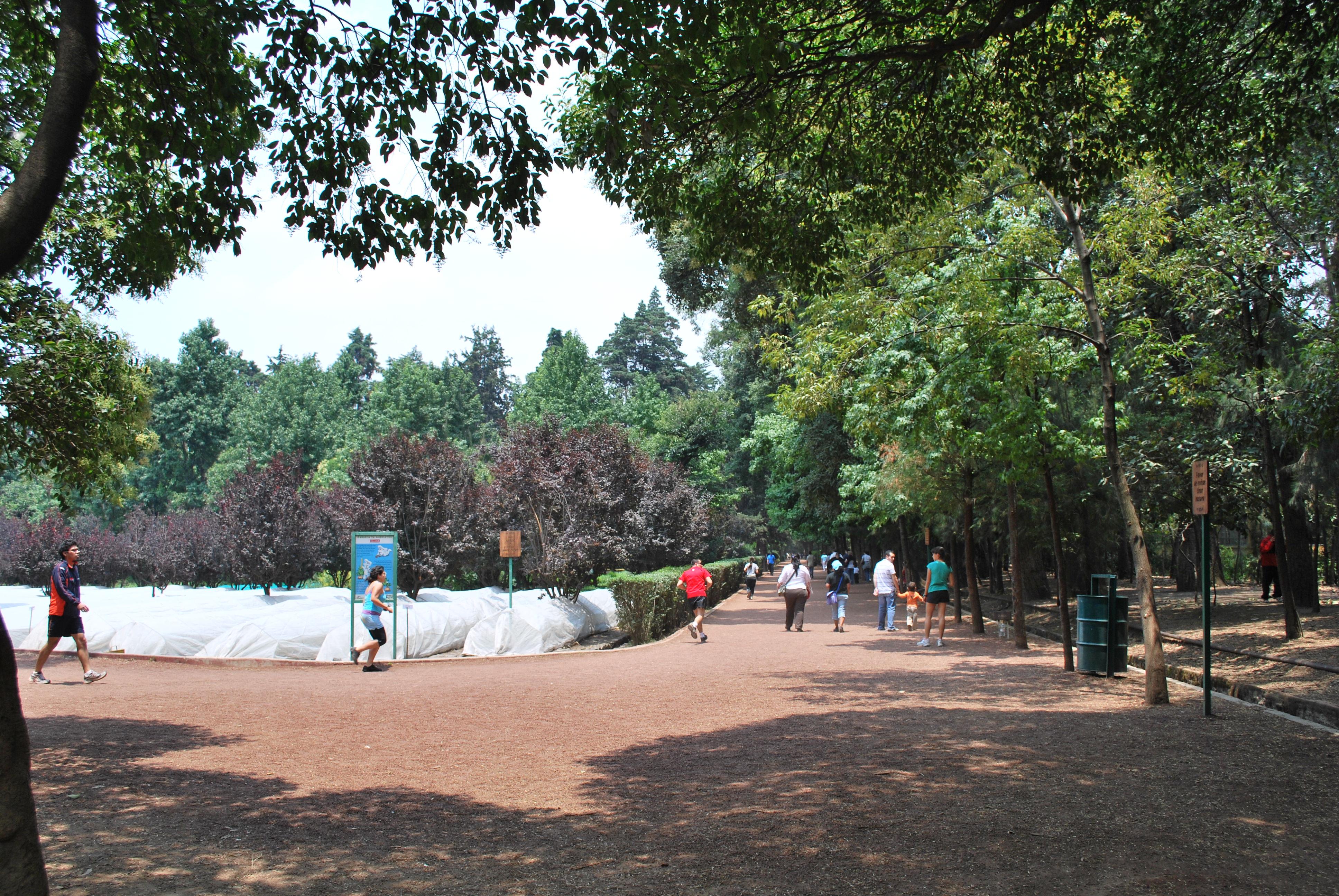 Viveros de Coyoacan