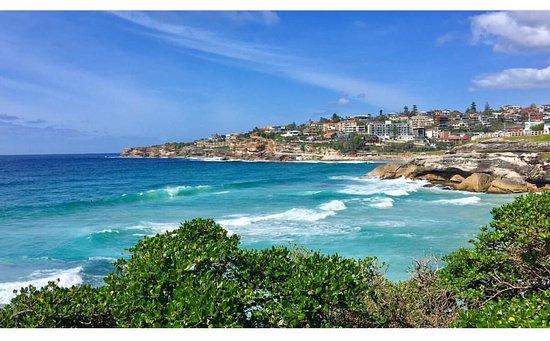 Tamarama Beach