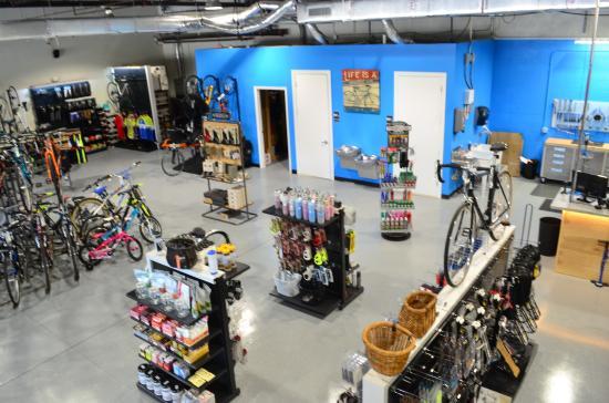 Coastline Cyclery