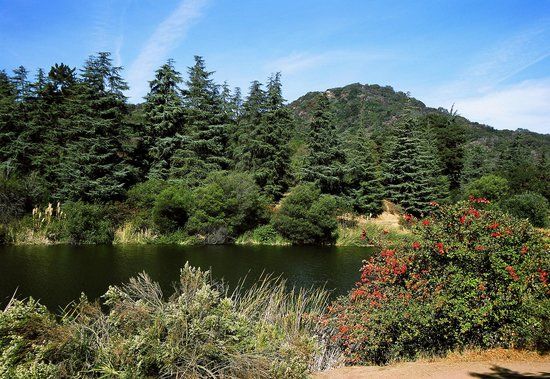 Hiking at Fryman Canyon