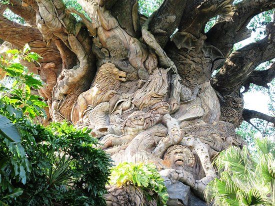 Tree of Life