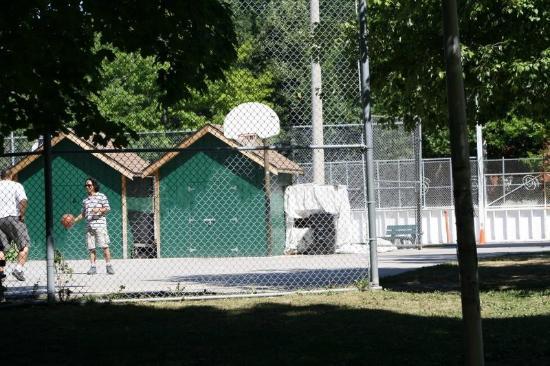 Biking along the Lakeshore