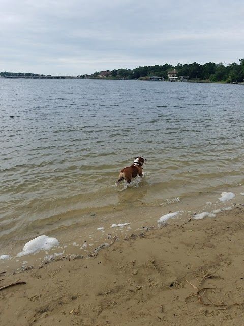 Bayview Park